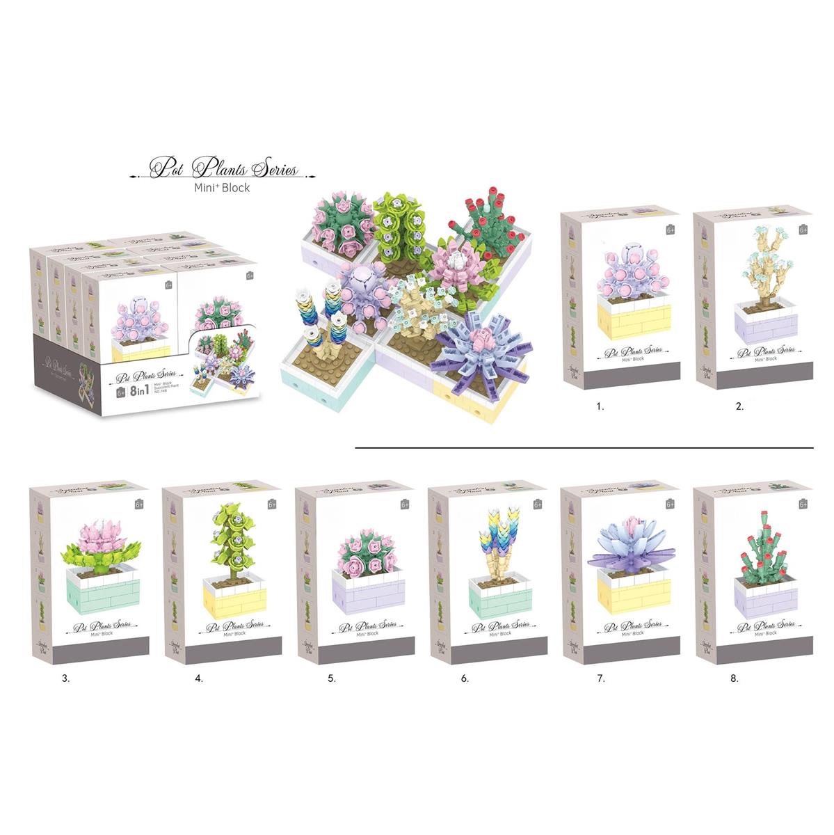 DIY Succulent Building Blocks