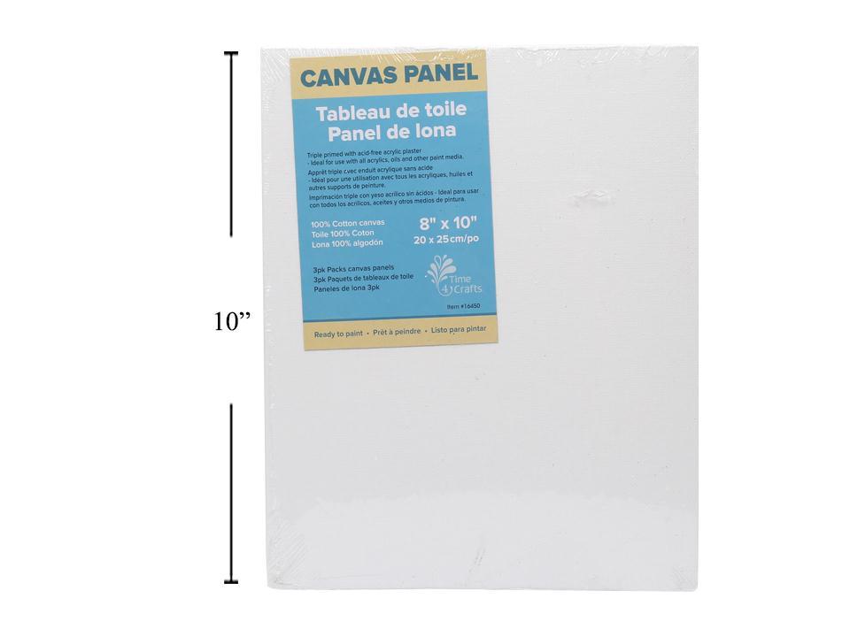 3pc Canvas Panels 8x10"