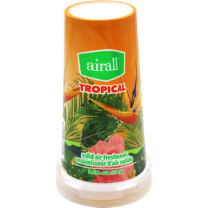 Tropical Solid Air Freshener