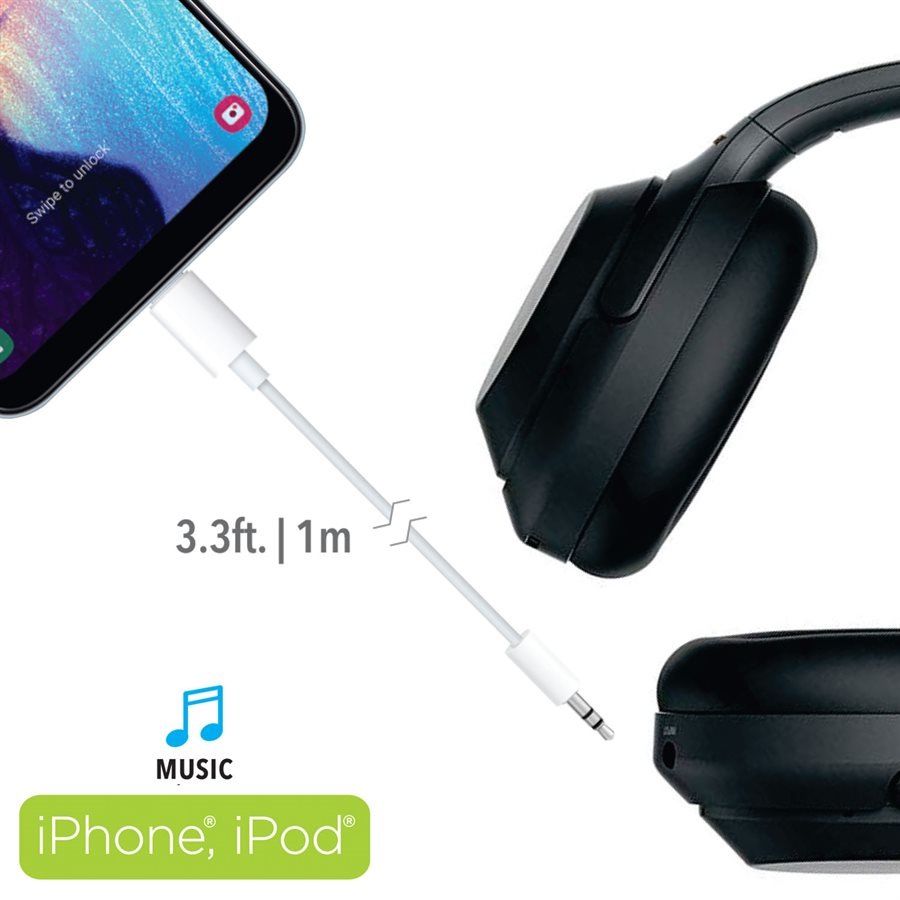 3.3ft Lightning to 3.5mm Aux Male Cable