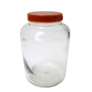 Round Glass Cookie Jar