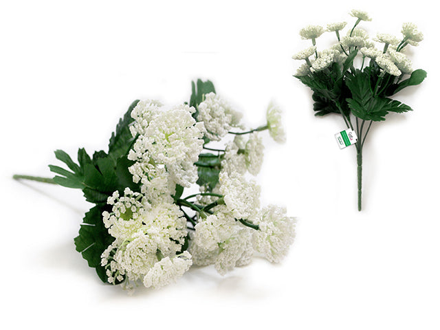 Enchanted Garden Filler: Queen Anne's Lace  Bush x5