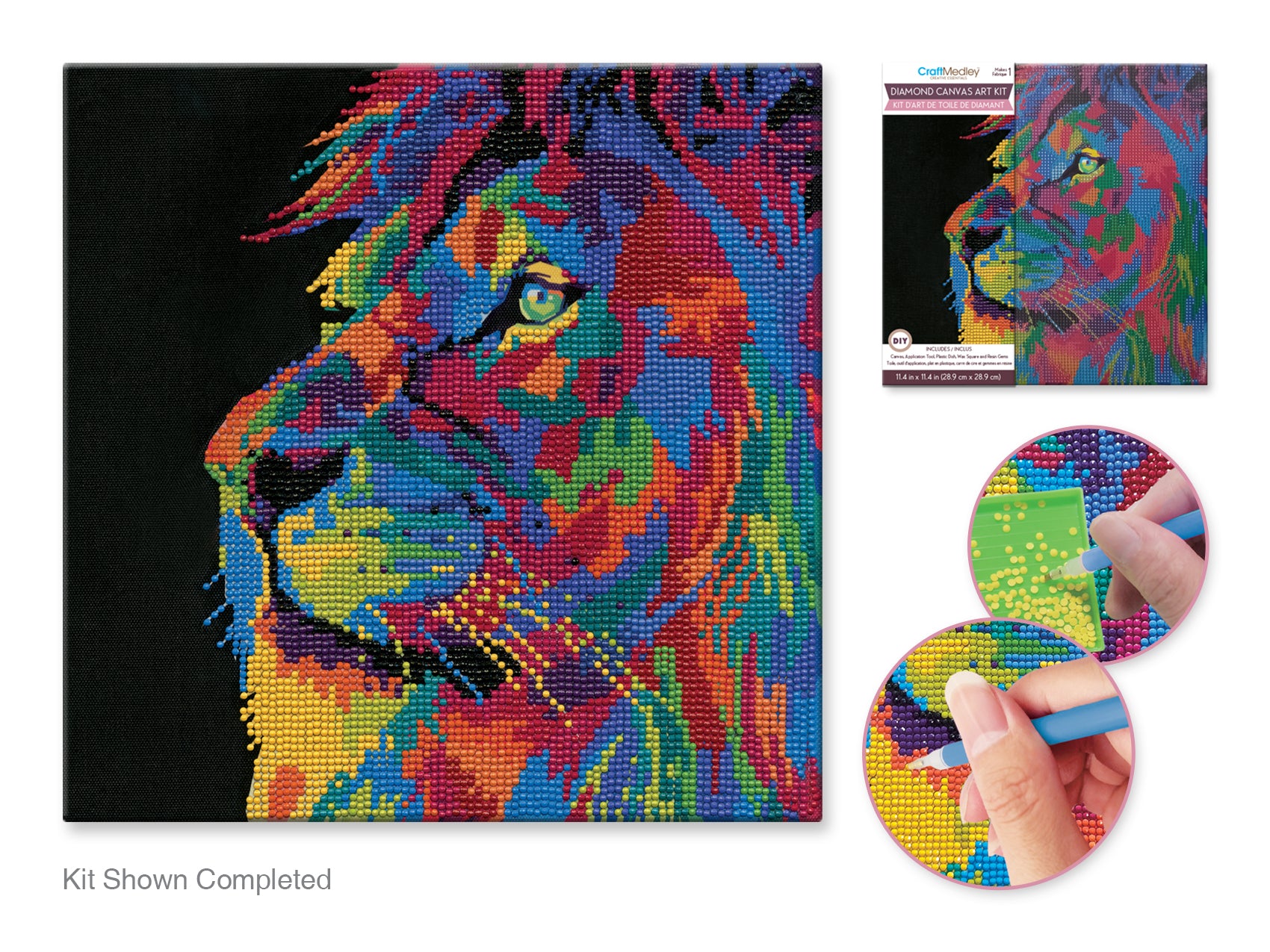 Lion Diamond Painting Kit