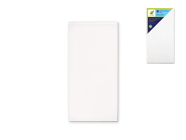 Stretch Artist Canvas: Rectangular 6"x12" with Primed Back-Stapled Design