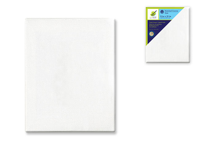 Stretch Artist Canvas: Rectangular 9"x12" with Primed Back-Stapled Design