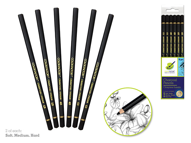 Color Factory Tool: Set of 6 Charcoal Pencils in Soft, Medium, and Hard Varieties, 2 of Each Type