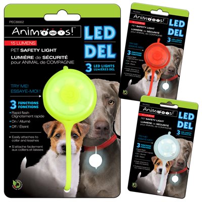 Dog Safety Spotlight