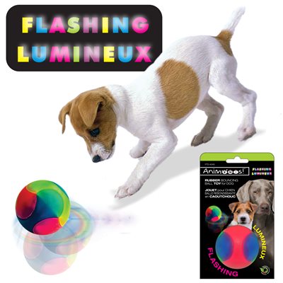Dog Flashing Ball
