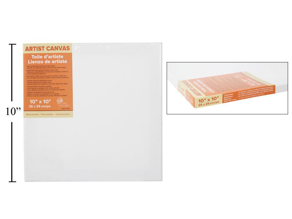 Artist Canvas 10x10"