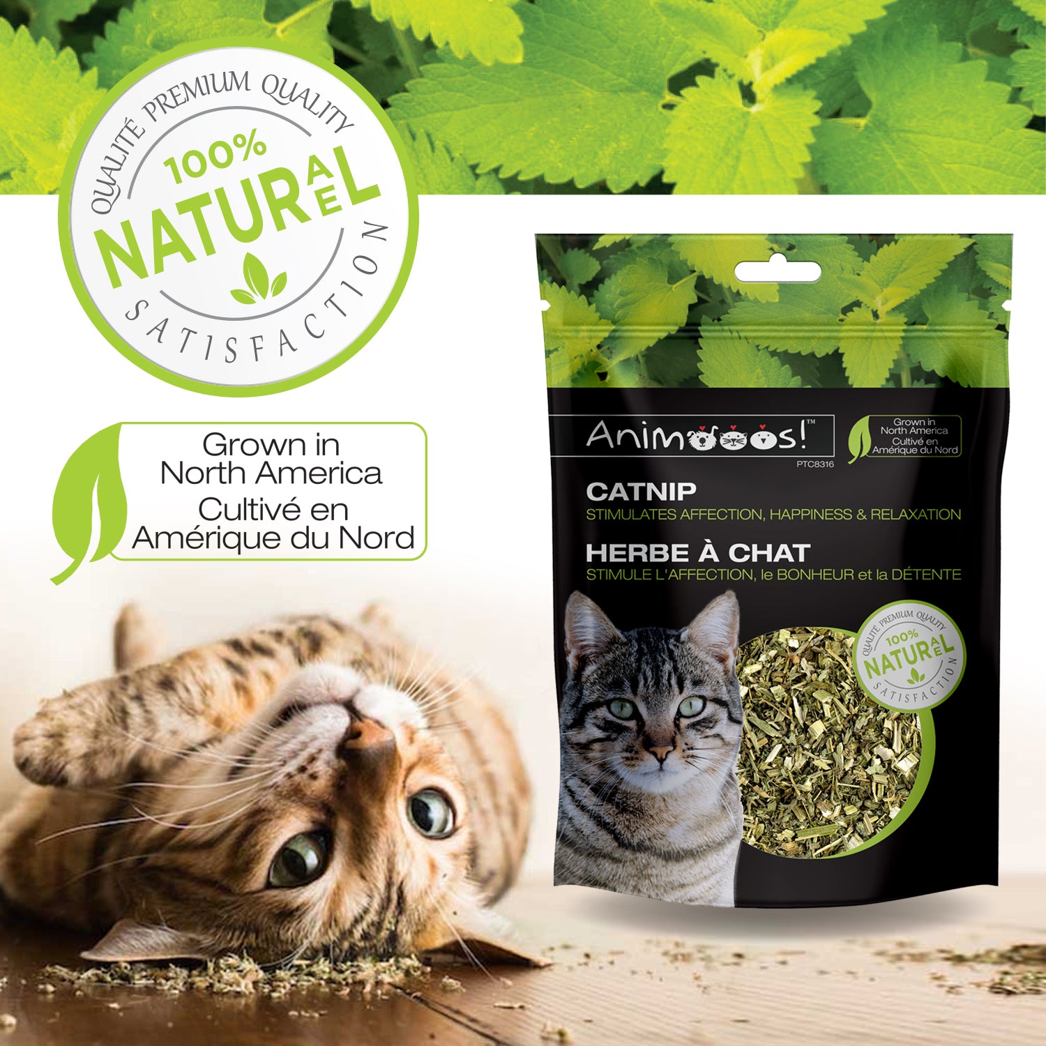 Animooos Catnip, 1 oz Resealable Bag