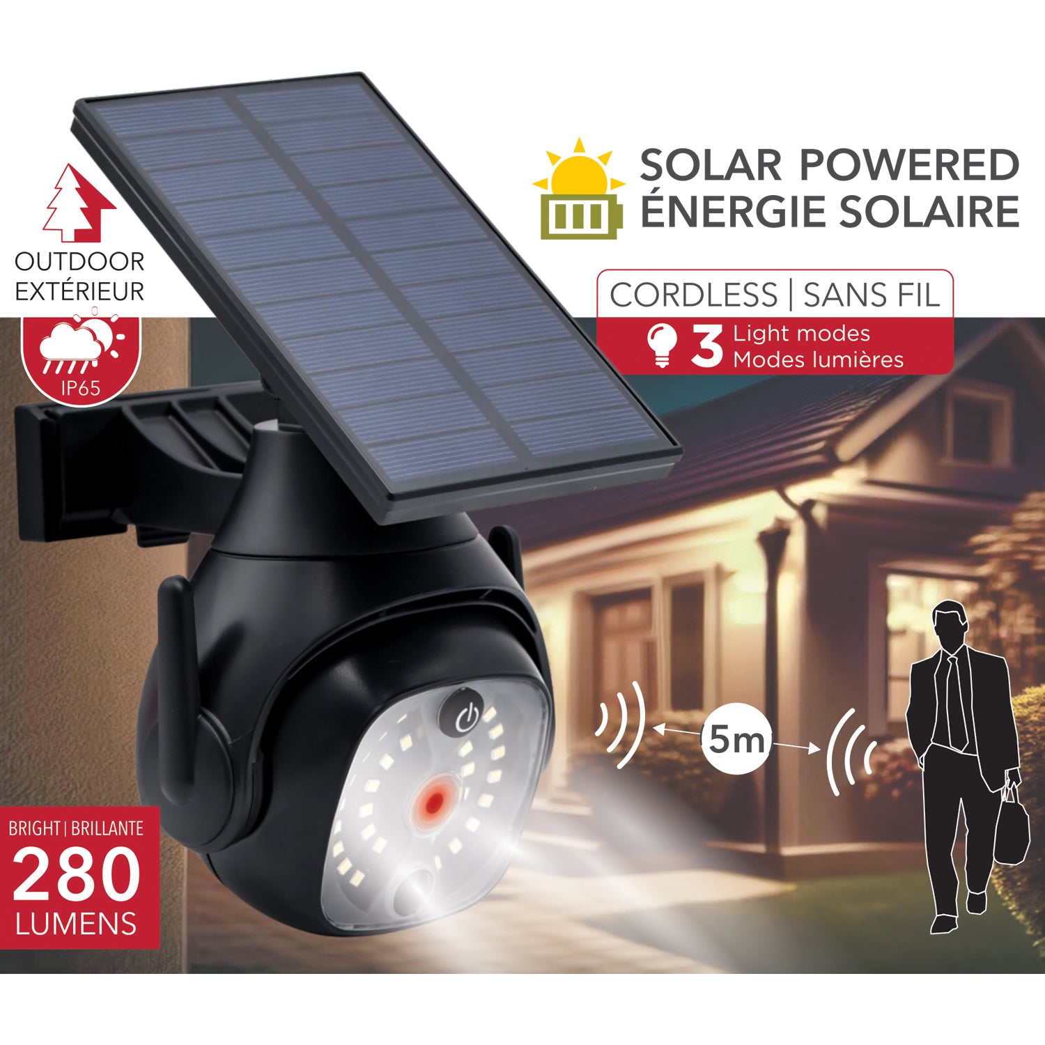 Solar LED Motion Light with Dummy Security Camera