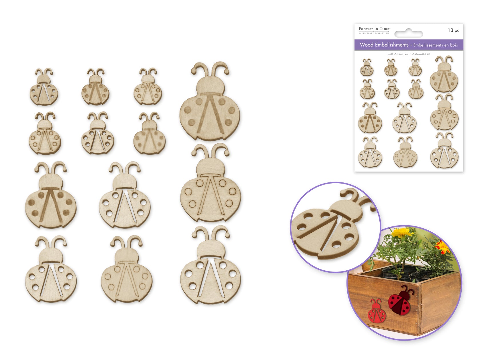 Mini Self-Stick Ladybug Wood Accent