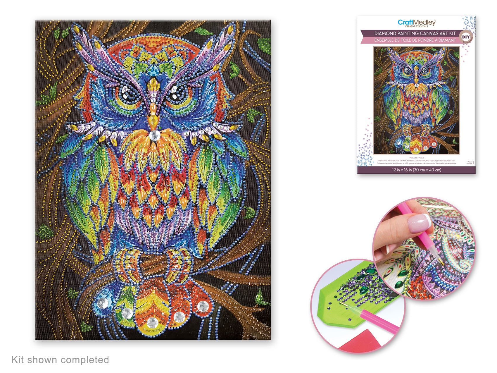 Diamond Painting Art Kit 12"x16" Owl on a Branch