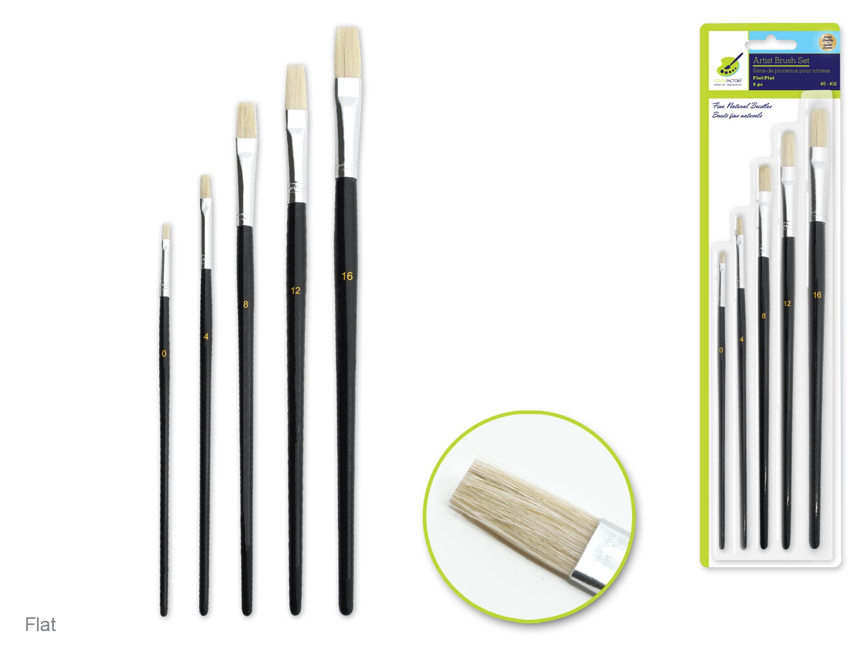 Artist Brush Set: Fine Bristle #0-#16, Featuring Five Wood Handles in Flat Style