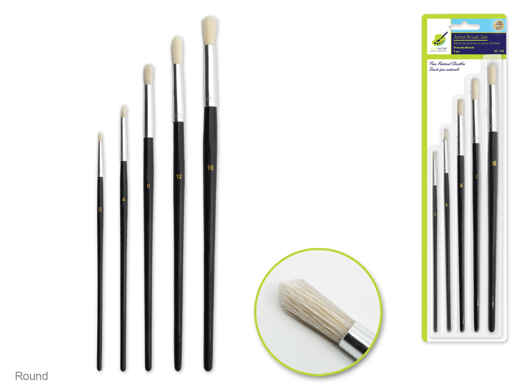 Artist Brush Set: Fine Bristle #0-#16, Including Five Wood Handle Rounds