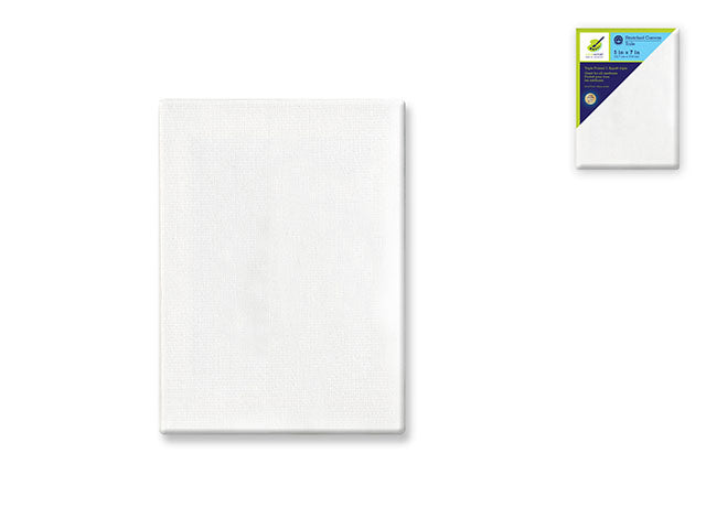 Stretch Artist Canvas: Rectangular 5"x7", Primed and Back-Stapled