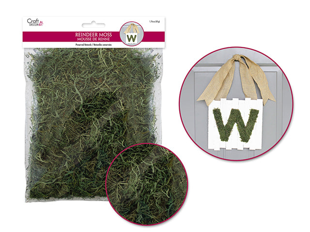 Craft Decor Dried Naturals: 50g Green Reindeer Moss