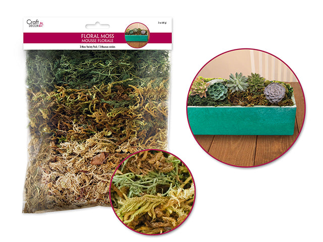 Craft Decor Dried Naturals: 2oz 3-Moss Variety Pack (60gm)