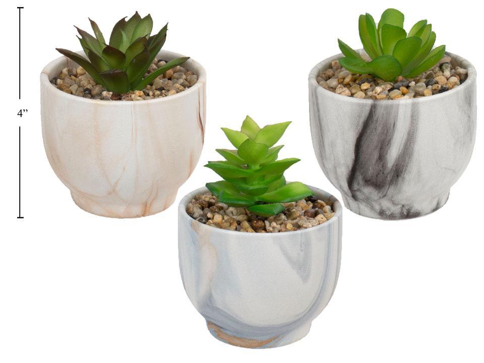 Country Garden 3" Round Dolomite Succulent