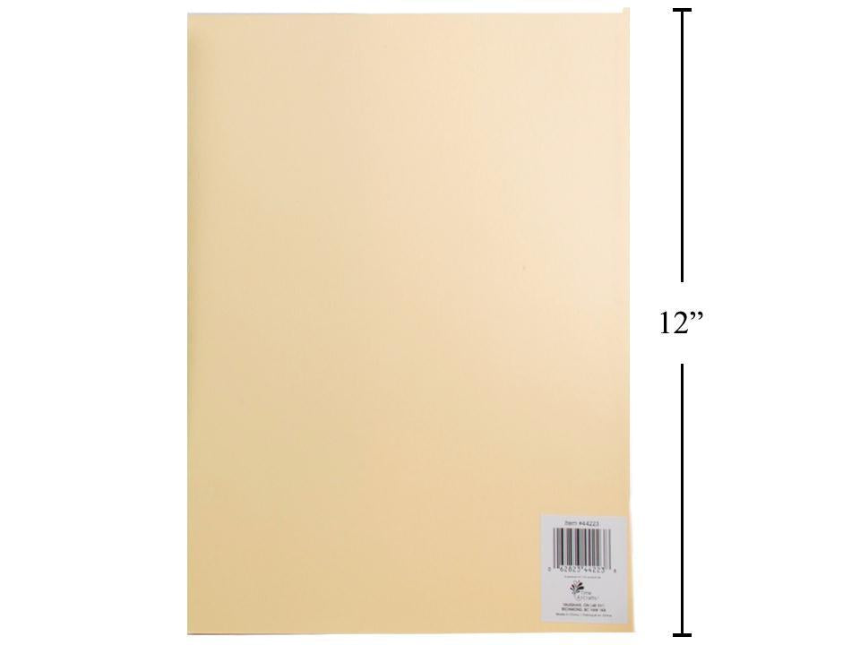 T4C, 8.25" x 11.5" Bristol Paper, Pastel Yellow, 220g, 12/poly bag
