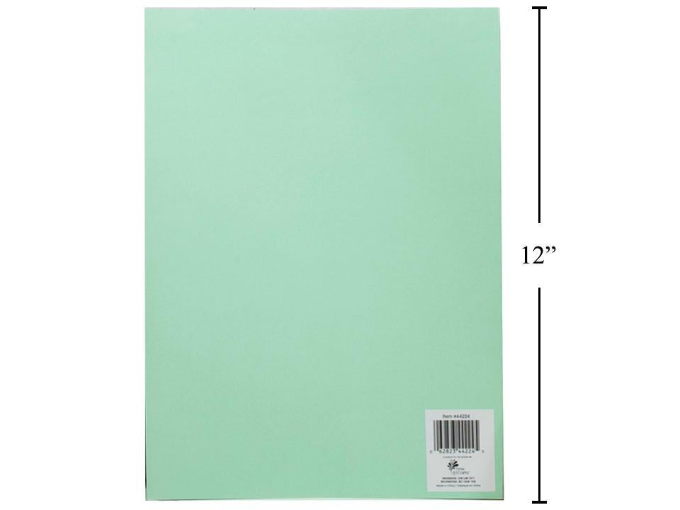 T4C, 8.25" x 11.5" Bristol Paper, Pastel Green, 220g, 12/poly bag