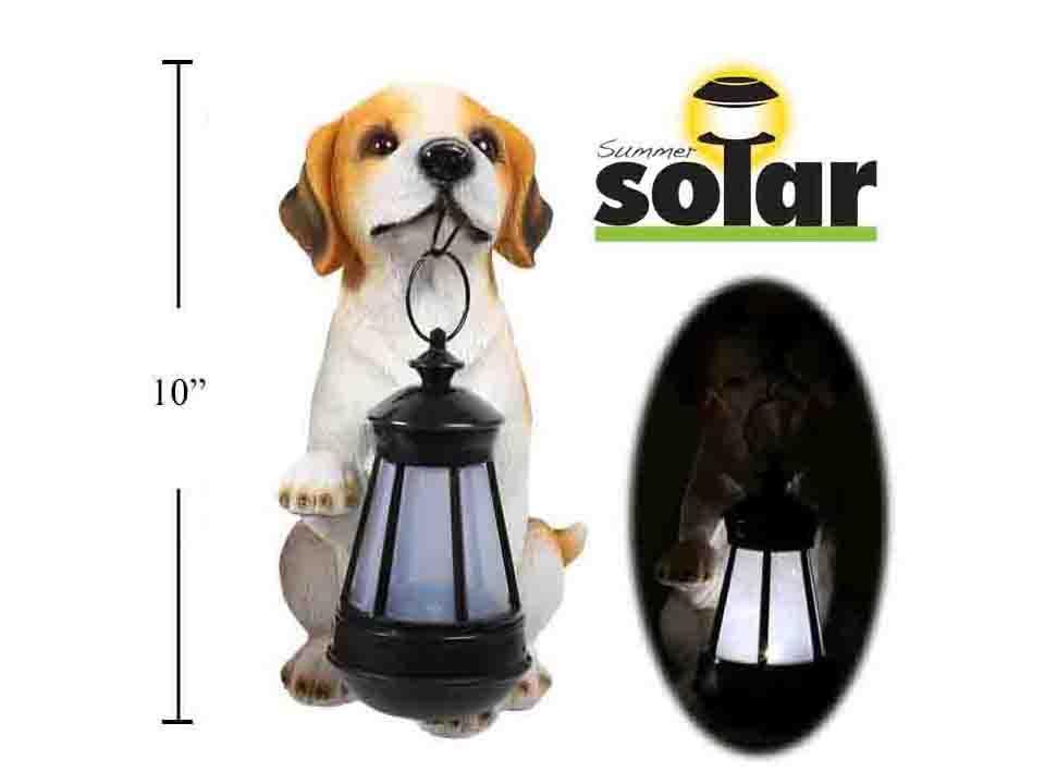 Solar 10" Polyresin Dog with B/O Lantern, box w/label