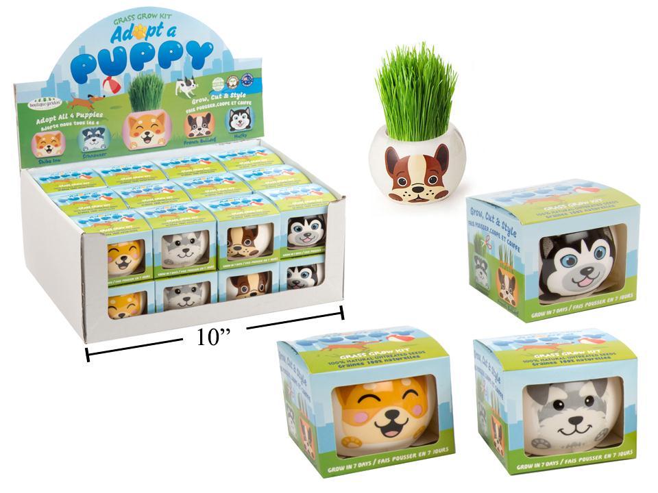 Grow Your Own Dog Grass Grow Kit