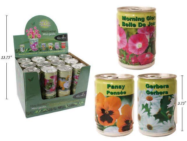 Grow Your Own Flowers In A Tin