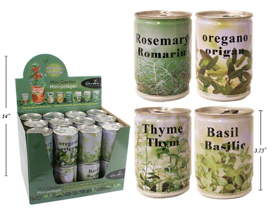 Grow Your Own Herbs in a Tin