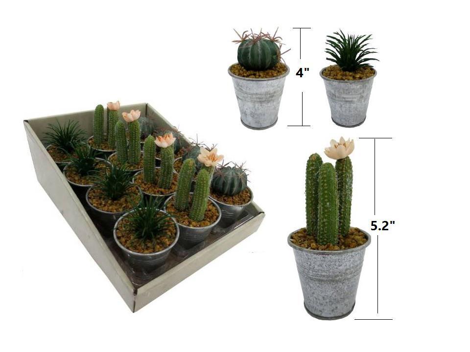 4" Mini Tropical Plant w/Pot, 3asst.,12/tray, hang tag
