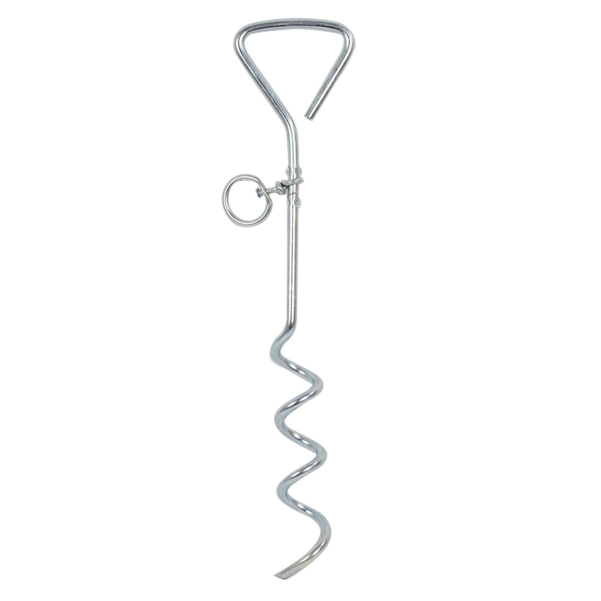 PAWS Metal Spiral Dog Tie-Out Stake with Header Card