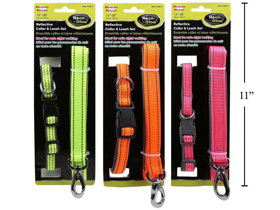 PAWS Reflective Collar and Leash Set, 13"- 20", 3c, with J Hook (CS)