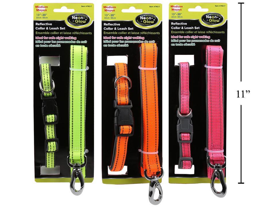 PAWS Reflective Collar and Leash Set, 13"- 20"