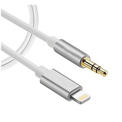 3.3ft Lightning to 3.5mm Aux Male Cable
