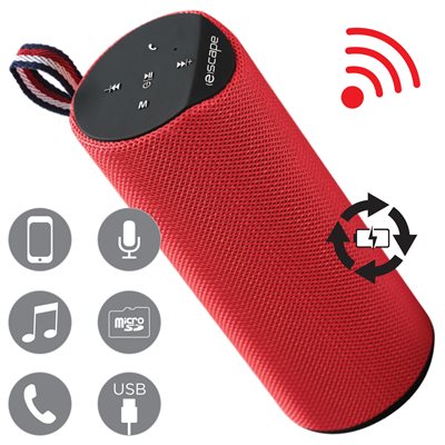 Wireless Speaker with Integrated FM Radio